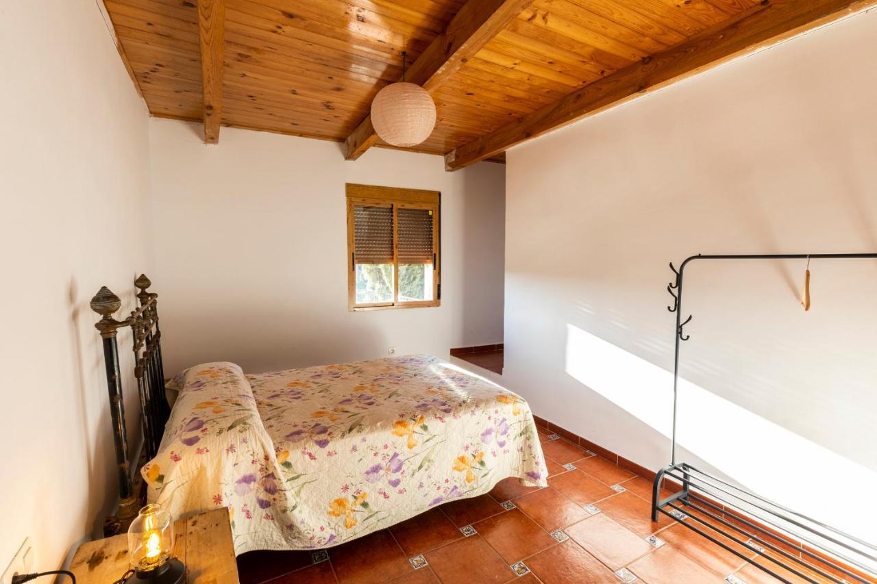 Country house El Abeto Torre de Don Miguel